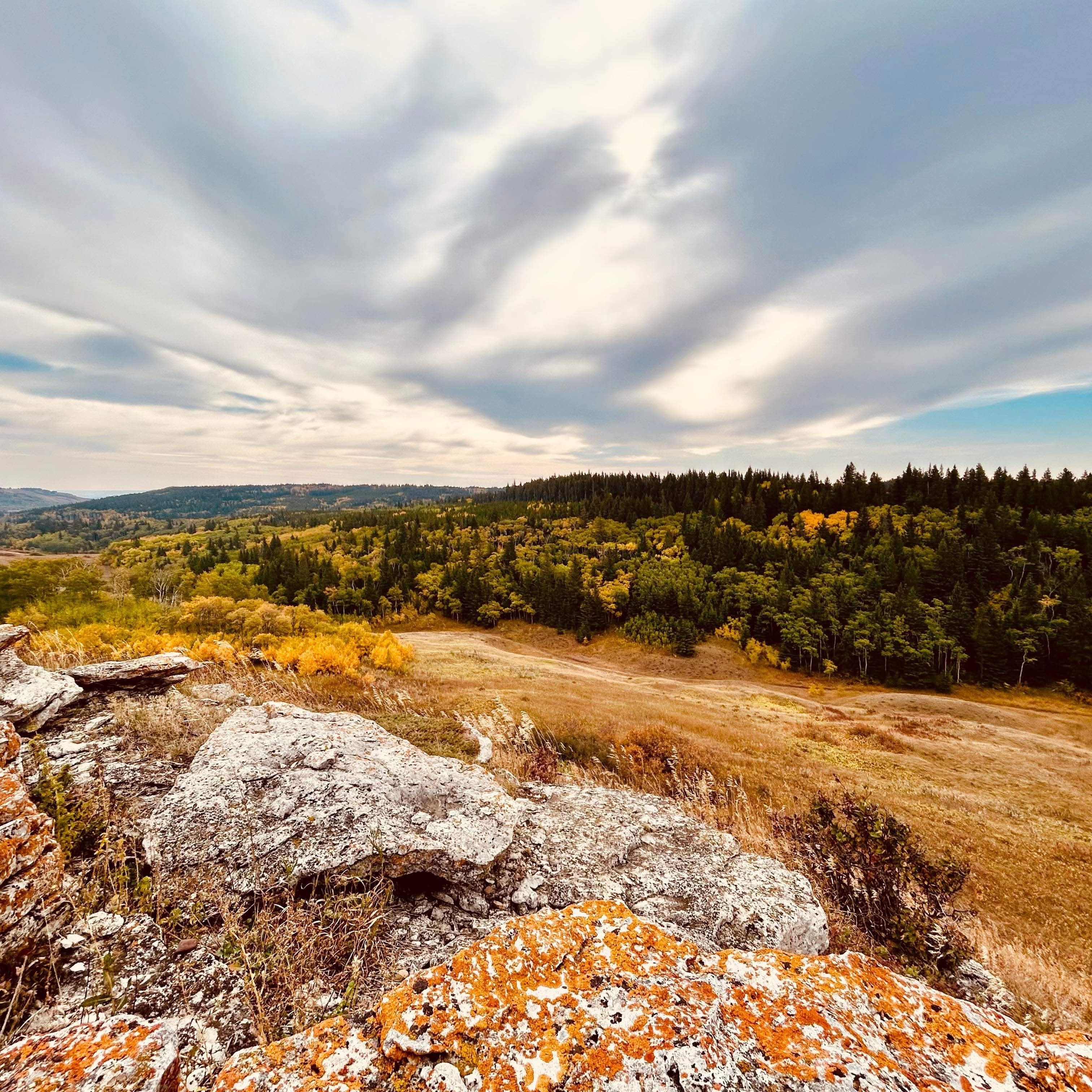 Photo by: Reesor Ranch