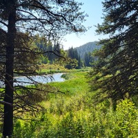 Cypress Hills Inter-provincial Park