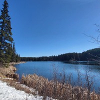 Cypress Hills Inter-provincial Park