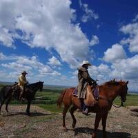 Adventures and Activities: Horseback Ride at Reesor Ranch