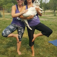 Adventures and Activities: Goat Yoga at Grotto Gardens