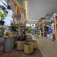 Shopping & Dining: Kelli Dee Floral