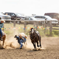 Abbey, SK