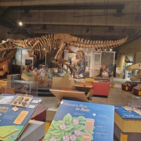 Museums: T-Rex Discovery Centre