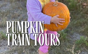 Pumpkin Train Tour Slide